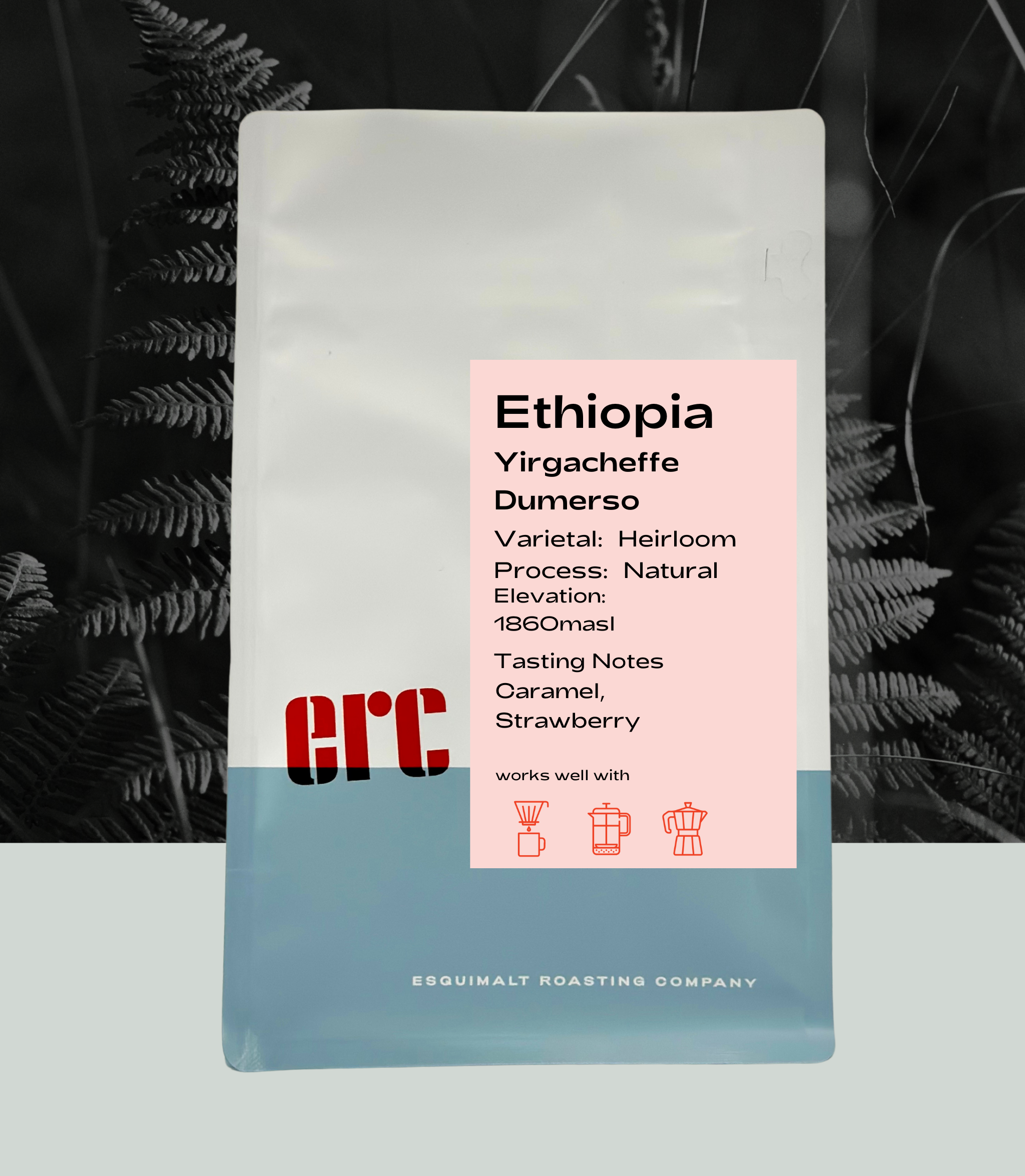 Ethiopia Yirgacheffe Dumerso